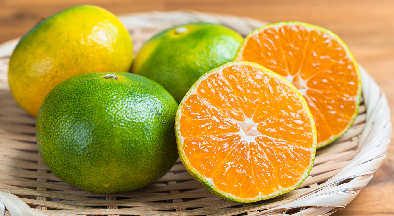 鹿児島県産の「極早生みかん」を販売開始いたします！